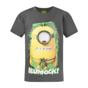 Minions Official Childrens/Kids Blumock T-Shirt (7-8 Years) (Charcoal)