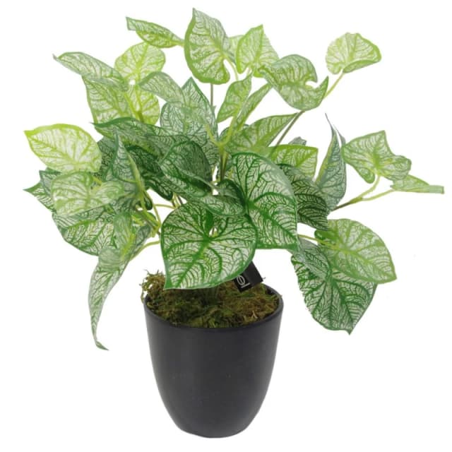 Leaf 40cm Artificial Caladium Plant with pot 5060532979811