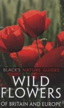 Wild Flowers of Britain and Europe by Margot Spohn Book