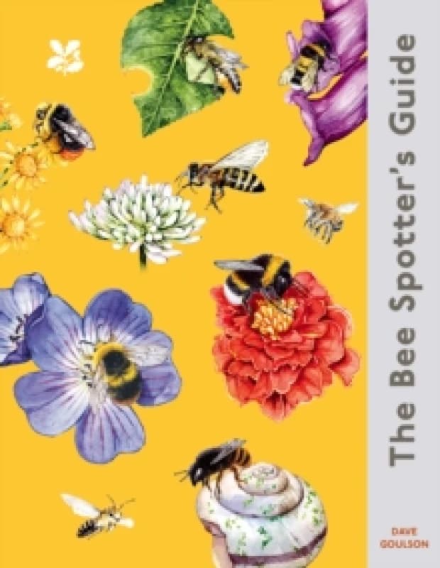 The Bee Spotters Guide Hardback