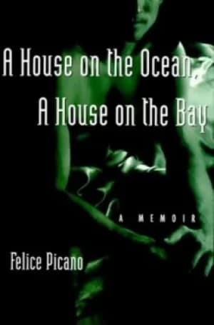 A house on the ocean a house on the bay by Felice Picano