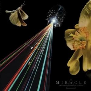 The Strife of Love in a Dream by Miracle Vinyl Album
