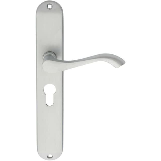 Loops PAIR Curved Handle on Long Slim Euro Lock Backplate 241 x 40mm Satin Chrome Multi