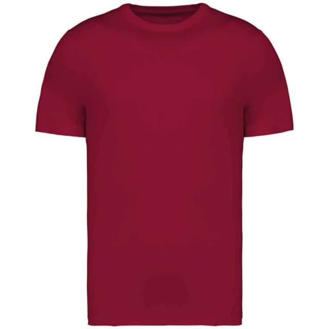 Native Spirit Mens Heavyweight Slim T-Shirt in Red Size: XS Red Male XS