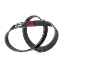 RIDEX V-ribbed belt 305P0324 Serpentine belt,Auxiliary belt LAND ROVER,PORSCHE,ROVER,Freelander SUV (L314),Freelander SUV Cabrio (L314),944,924 Coupe