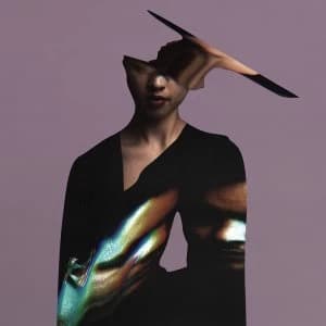 Plaitum - Constraint Vinyl