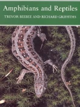Amphibians and Reptiles by Trevor Beebee Paperback