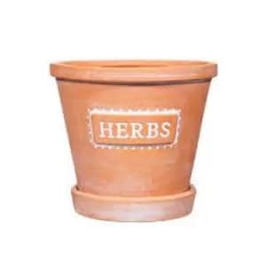 Herbs Terracotta Planters with Saucer