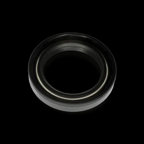 ELRING Gaskets 228.480 Shaft Seal, differential VW,AUDI,SKODA,Golf IV Schragheck (1J1),POLO (9N_),GOLF III (1H1),Golf IV Variant (1J5),Lupo (6X1, 6E1)