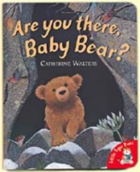 Are You There Baby Bear by Catherine Walters Hardback