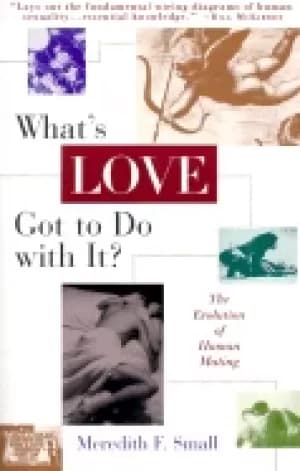 whats love got to do with it the evolution of human mating