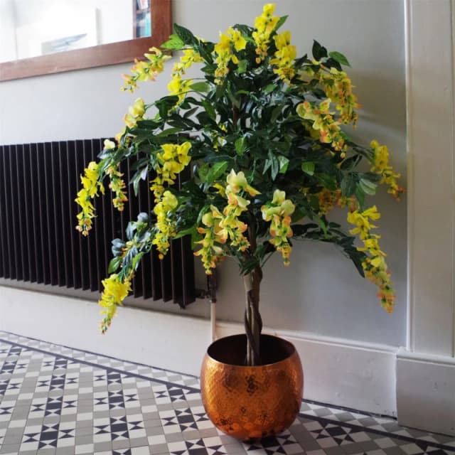 Leaf 120cm Yellow Flowering Wisteria Tree Yellow