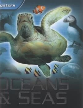 Oceans and Seas by Margaret Hynes Hardback