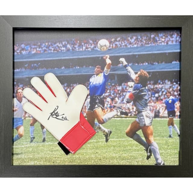 AllStarSignings Ltd Peter Shilton signed Puma goalkeeper glove White unisex One Size