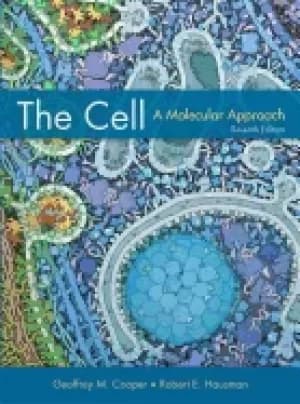 cell a molecular approach