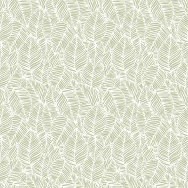Hoopla Walls Zebra Leaf - Olive 10M Wallpaper