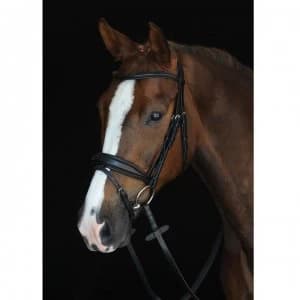 Collegiate Mono Crown Padded Raised Flash Bridle - Black