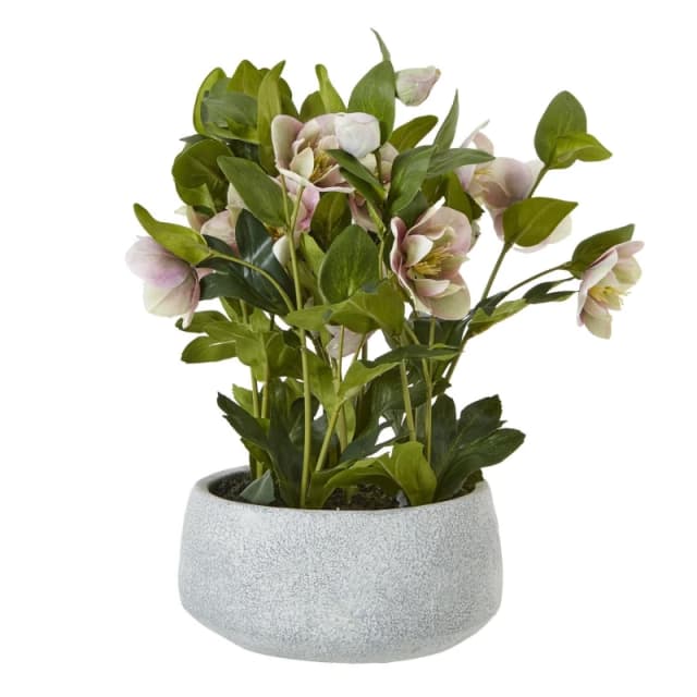 Hill Interiors Hellebore Artificial Potted Plant in Pink Pink Unisex