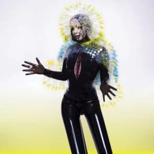 Vulnicura by Bjork CD Album