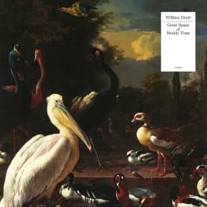 William Doyle - Great Spans Of Muddy Time Vinyl