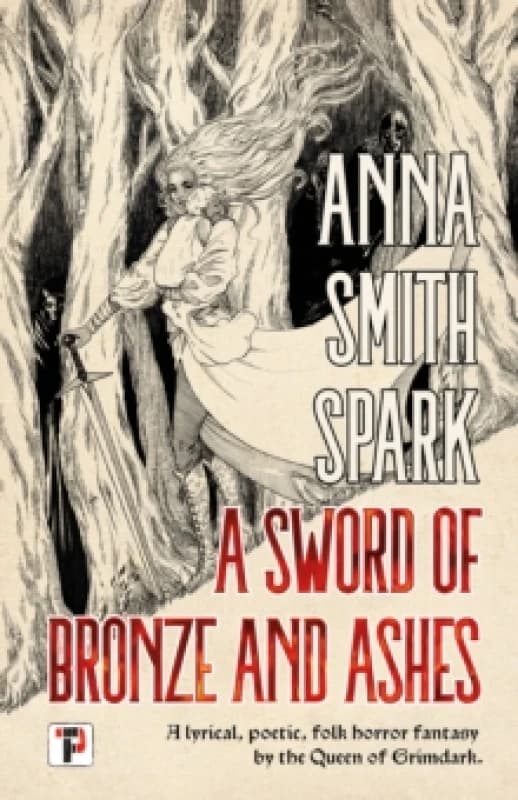 A Sword of Bronze and Ashes Paperback / softback
