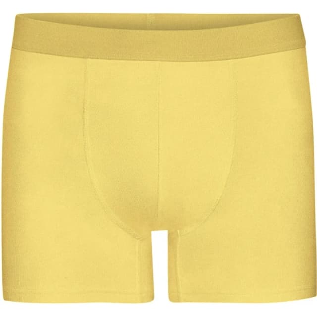 Colorful Standard Boxer shorts Colorful Standard Classic Lemon Yellow Jaune Male S