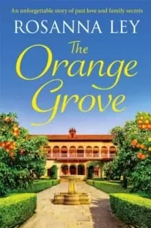 The Orange Grove : an utterly mouth-watering holiday romance set in sunny Seville