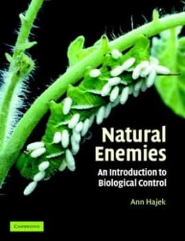 Natural Enemies by Ann E. Hajek Paperback