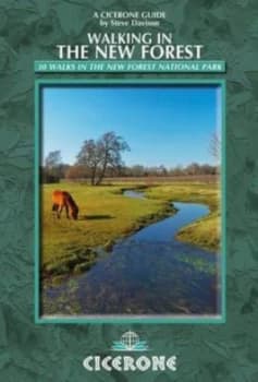 Walking in the New Forest by Steve Davison Paperback