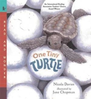 One Tiny Turtle by Nicola Davies Book