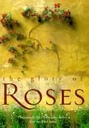 glory of roses