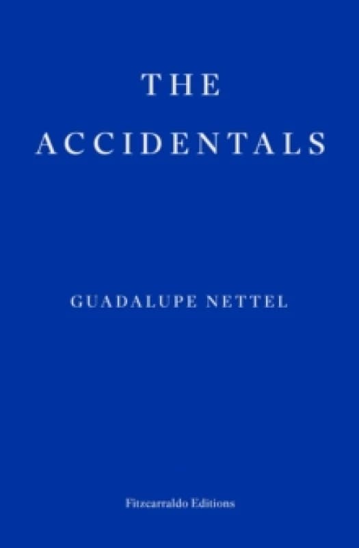 The Accidentals Paperback / softback