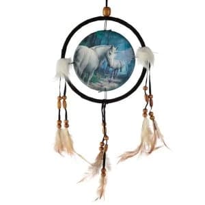 Lisa Parker The Journey Home 16cm Dreamcatcher
