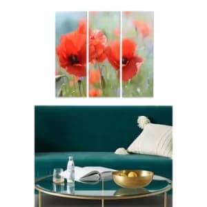 MDF2391025 Multicolor Decorative MDF Painting (3 Pieces)