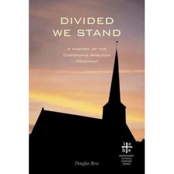 Divided We Stand by Douglas Bess Paperback