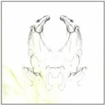 My Brightest Diamond - Tear It Down CD