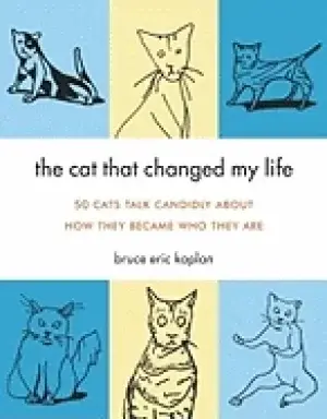 cat that changed my life 50 cats talk candidly about how they became who th