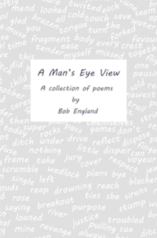 A Man's Eye View Paperback / softback
