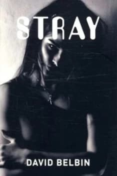 Stray by David Belbin and Julia Page Book