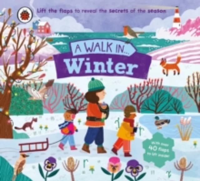 A Walk in Winter : Lift the flaps to reveal the secrets of the season Board book