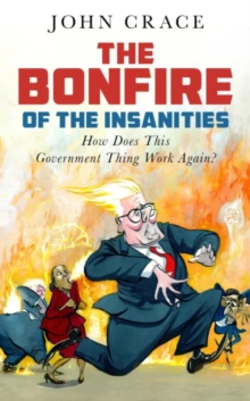The Bonfire of the Insanities : How Does This Government Thing Work Again? Hardback