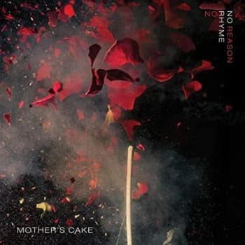 Mother's Cake - No Rhyme No Reason Vinyl