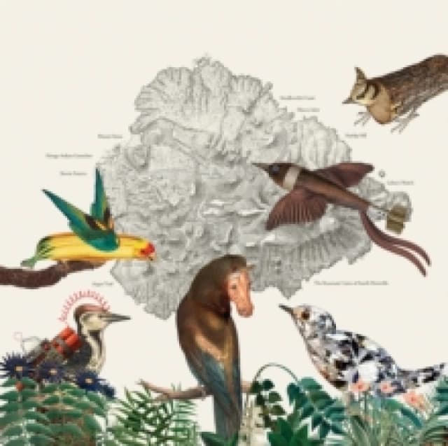 The Birds of Marsville Vinyl