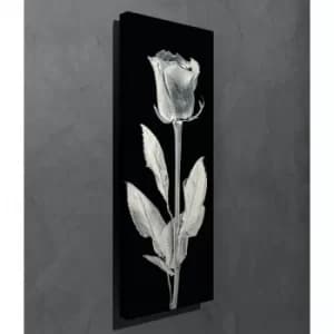 PC161 Multicolor Decorative Canvas Painting