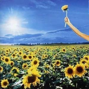 Thank You The Best Of CD Album