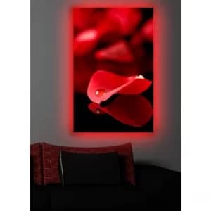 4570DACT-9 Multicolor Decorative LED Lighted Canvas Painting
