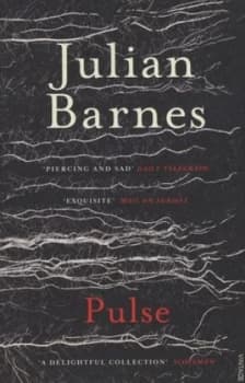 Pulse by Julian Barnes Book