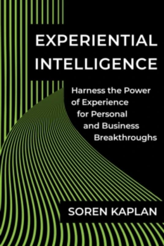 Experiential Intelligence : Harness the Power of Experience for Personal and Business Breakthroughs Hardback