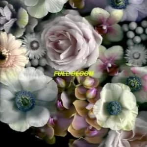 Full Bloom by Alpines CD Album