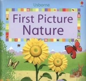 Usborne First Picture Nature by Felicity Brooks and Jo Litchfield and Matt Durber and Stephanie Jones and Mmstudios Hardback